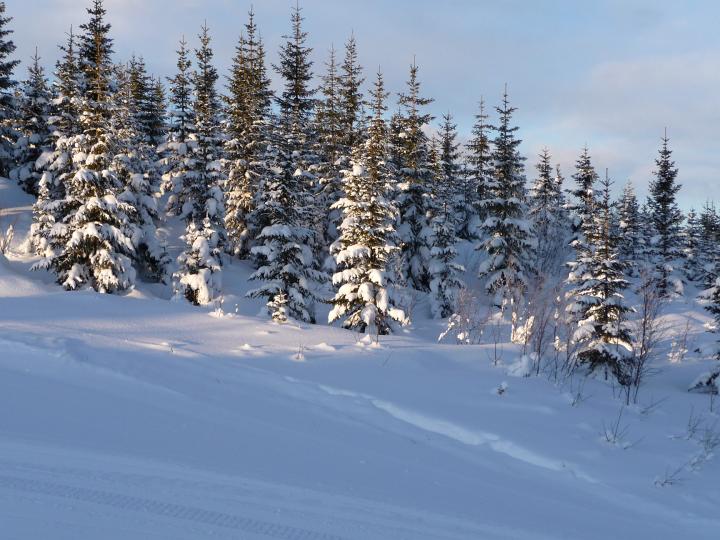 054.jpg - Gol Skisenter