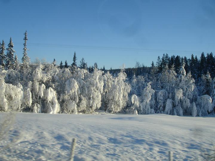 094.jpg - Fahrt zum Storefjell
