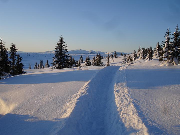 114.jpg - Storefjell Skisenter
