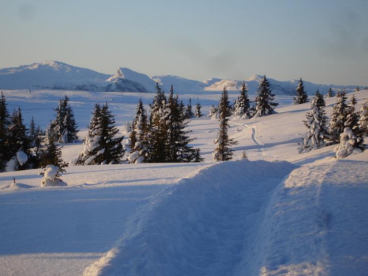115.jpg - Storefjell Skisenter
