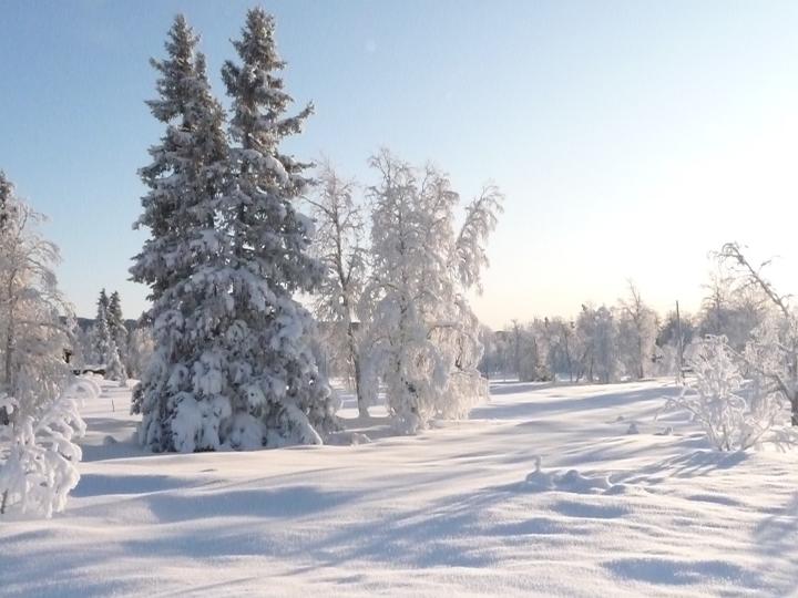 137.jpg - Storefjell