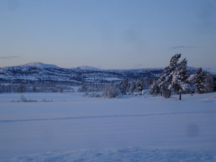 145.jpg - Storefjell
