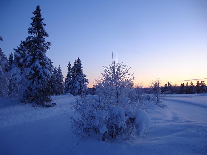 146.jpg - Storefjell