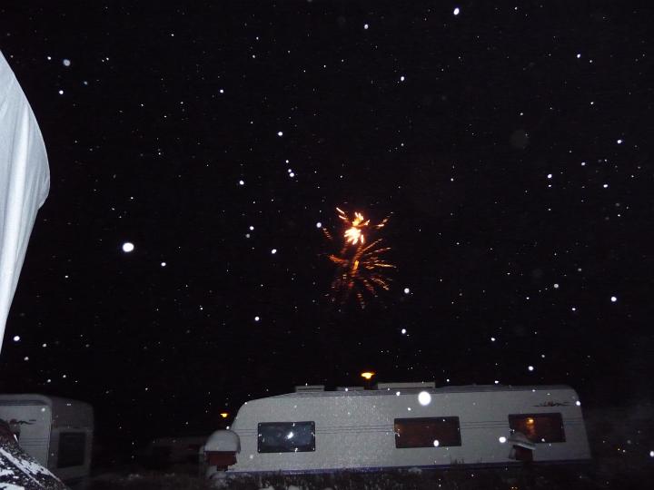 167.jpg - Silvester