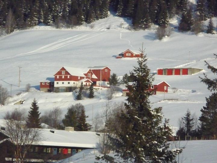 235.jpg - Fahrt ins Hemsedal