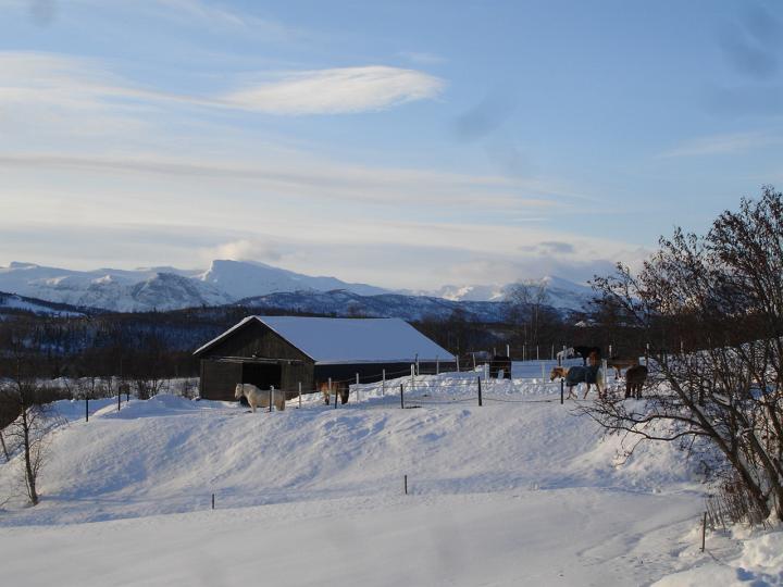 242.jpg - Fahrt ins Hemsedal