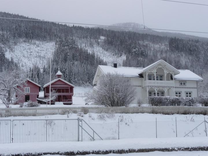 287.jpg - von Gol nach Myrdal