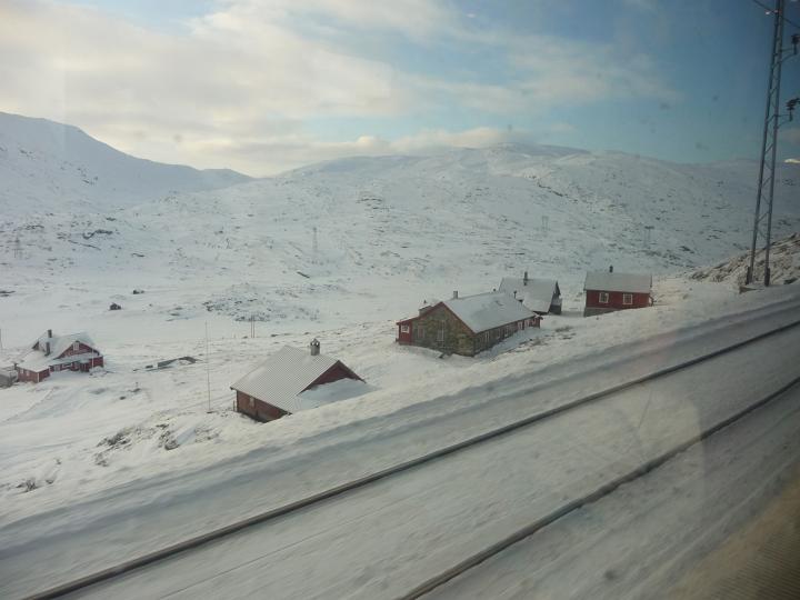 293.jpg - von Gol nach Myrdal