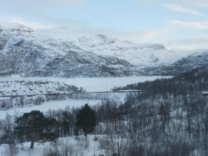 300.jpg - Fl�msbana von Myrdal nach Fl�ms