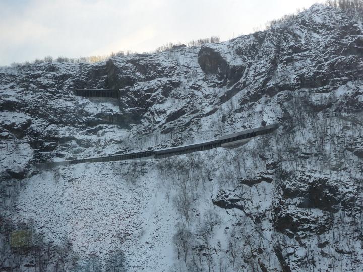 305.jpg - Fl�msbana von Myrdal nach Fl�ms