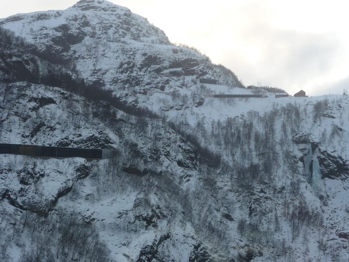 306.jpg - Fl�msbana von Myrdal nach Fl�ms