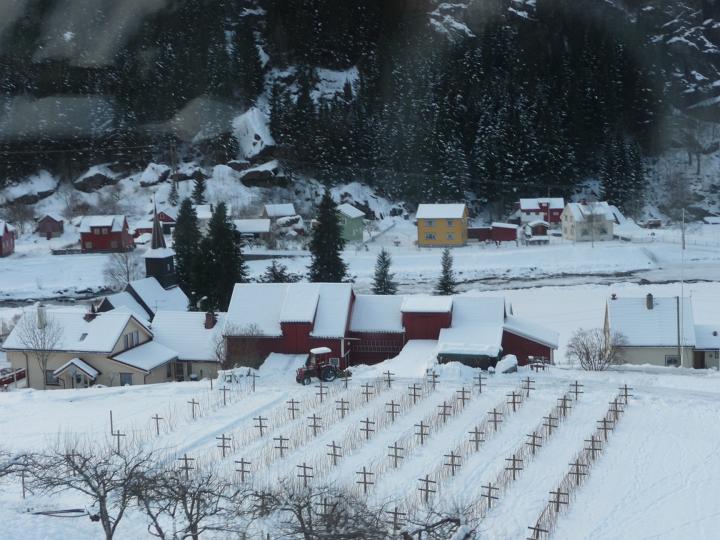 312.jpg - Fl�msbana von Myrdal nach Fl�ms