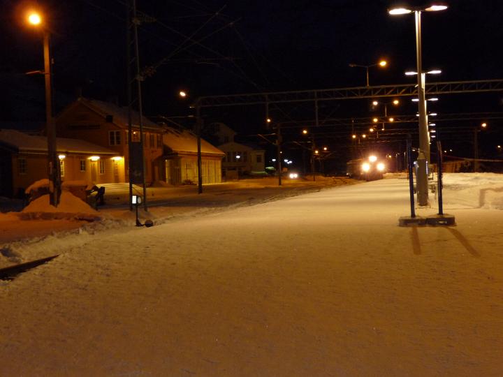 324.jpg - R�ckfahrt mit der Fl�msbana