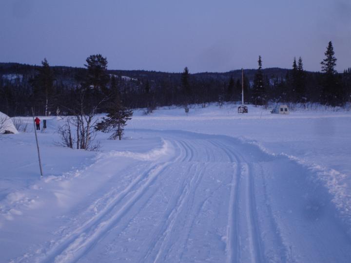 338.jpg - Langlauf