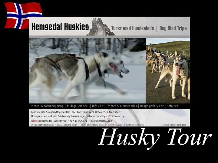 351.jpg - Husky Tour