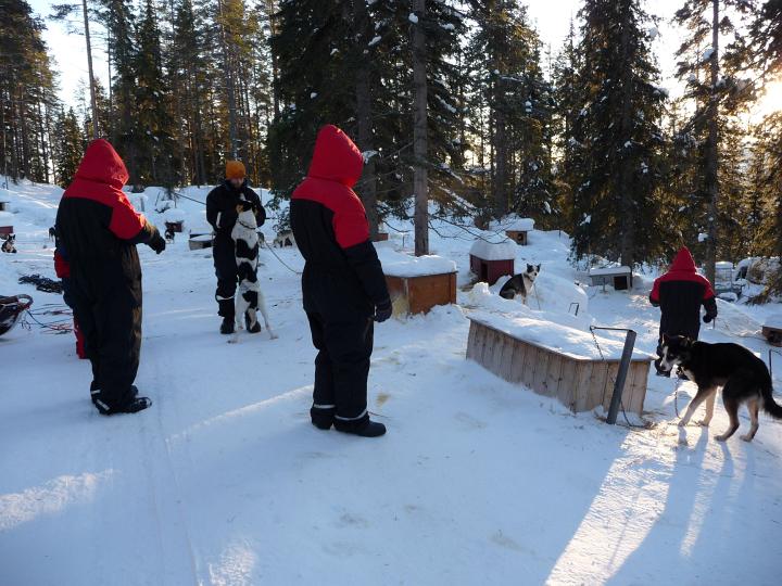 357.jpg - Husky Tour