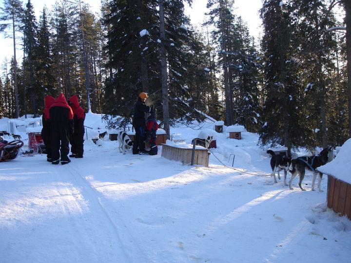 360.jpg - Husky Tour
