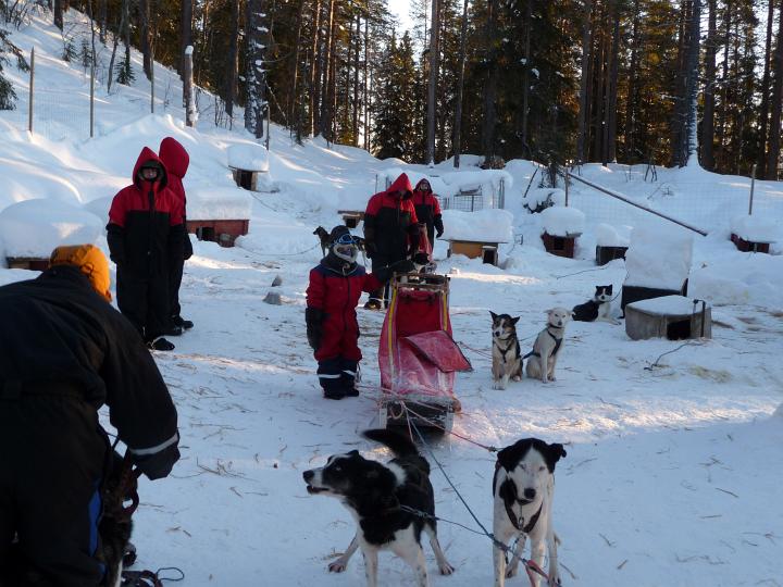 363.jpg - Husky Tour
