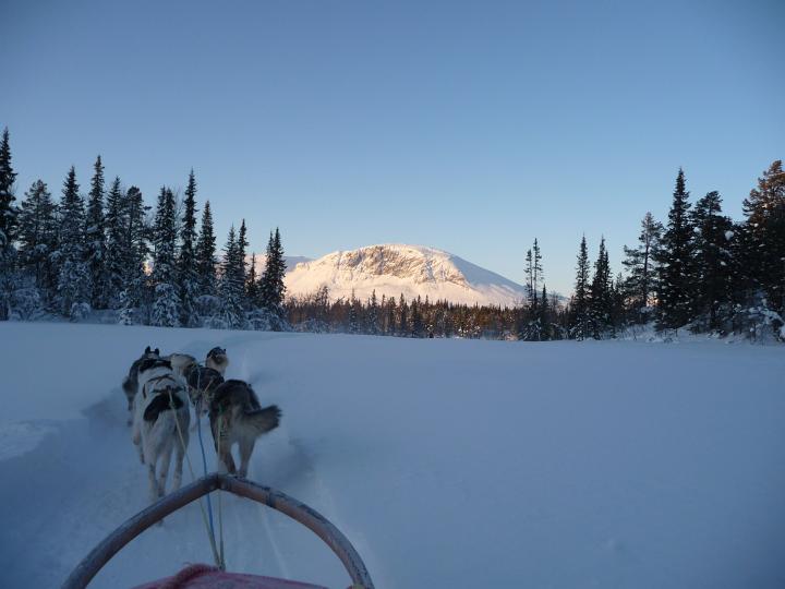 372.jpg - Husky Tour