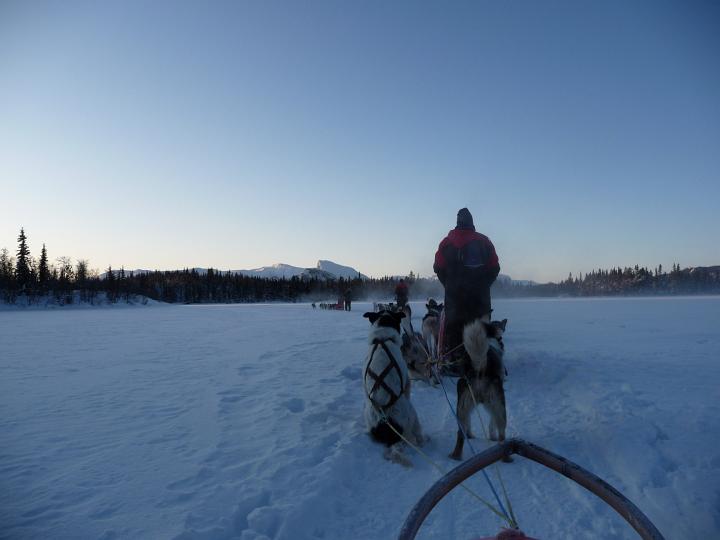 373.jpg - Husky Tour