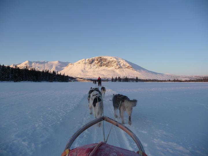 374.jpg - Husky Tour