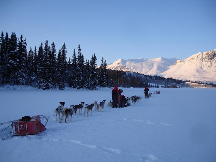 376.jpg - Husky Tour