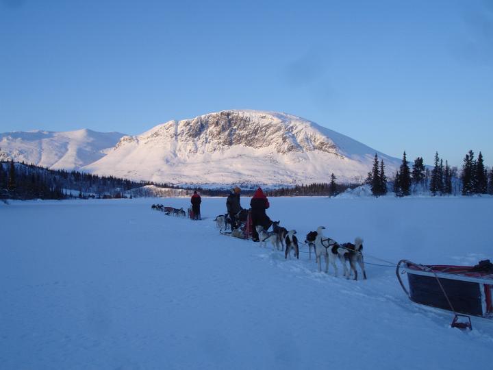377.jpg - Husky Tour