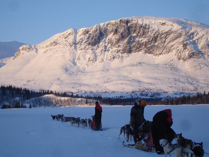 378.jpg - Husky Tour