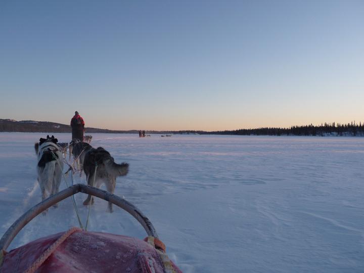 382.jpg - Husky Tour
