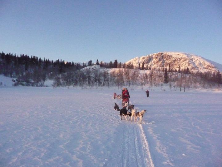 383.jpg - Husky Tour