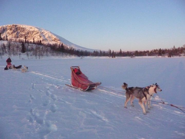 386.jpg - Husky Tour
