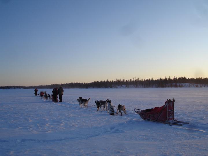 387.jpg - Husky Tour