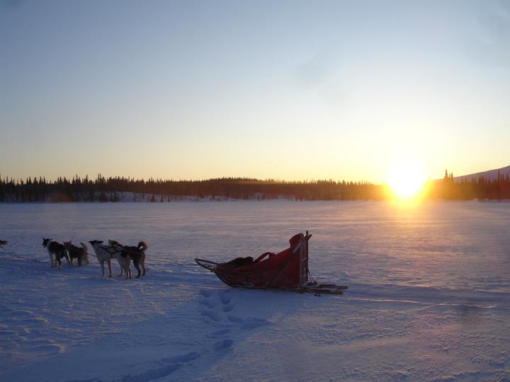 388.jpg - Husky Tour